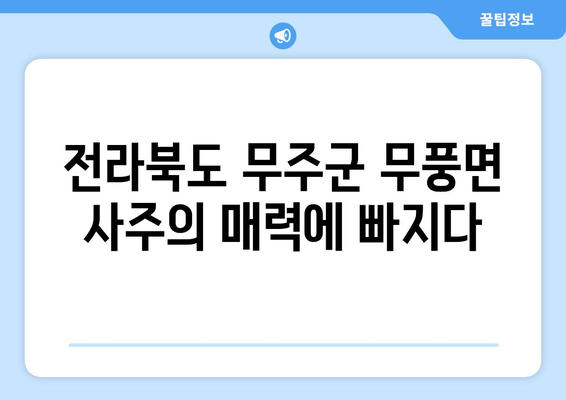 전라북도 무주군 무풍면 사주| 유명한 사주 명소와 추천 점술가 | 무주, 무풍, 사주, 점집, 운세,