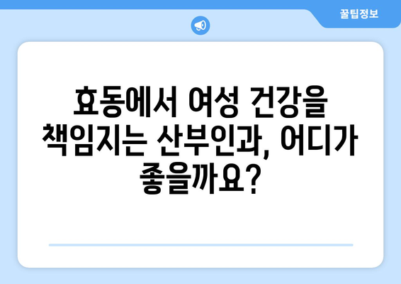 대전 동구 효동 산부인과 추천| 믿을 수 있는 의료 서비스 찾기 | 산부인과, 여성 건강, 병원 추천, 대전 동구 효동