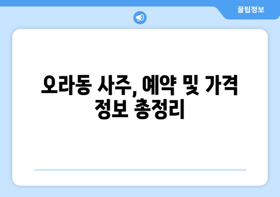 제주도 제주시 오라동에서 찾는 나만의 사주 명인 | 오라동 사주, 유명한 곳, 추천, 후기, 예약, 가격