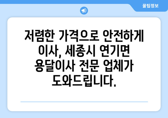 세종시 연기면 용달이사 전문 업체 추천 | 저렴하고 안전한 이사, 지금 바로 상담하세요!