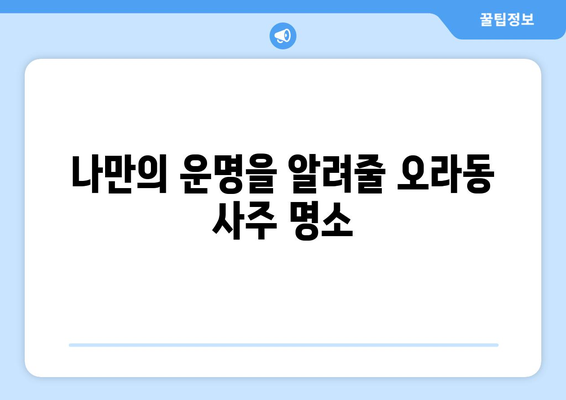 제주도 제주시 오라동에서 찾는 나만의 사주 명인 | 오라동 사주, 유명한 곳, 추천, 후기, 예약, 가격