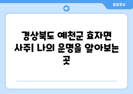 경상북도 예천군 효자면 사주| 나의 운명을 알아보는 곳 | 사주, 운세, 점집, 예천, 효자면