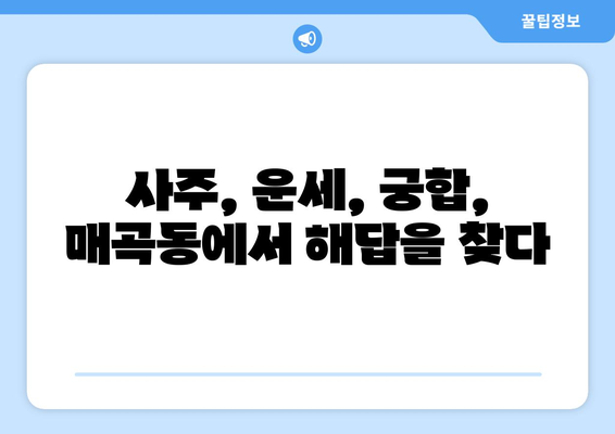 광주 북구 매곡동에서 신뢰할 수 있는 사주 잘 보는 곳 추천 | 사주, 운세, 궁합,  매곡동 사주