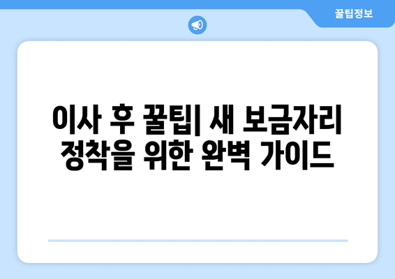 인천 부평3동 5톤 이사, 믿을 수 있는 업체와 안전하게! | 이삿짐센터 추천, 견적 비교, 이사 준비 팁