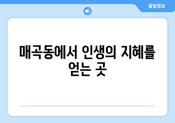 광주 북구 매곡동에서 신뢰할 수 있는 사주 잘 보는 곳 추천 | 사주, 운세, 궁합,  매곡동 사주