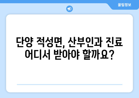 충청북도 단양군 적성면 산부인과 추천| 믿을 수 있는 전문의 찾기 | 단양, 적성, 산부인과, 병원, 진료, 추천