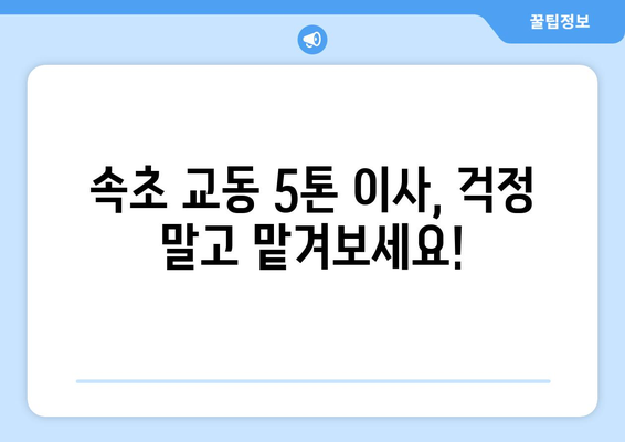 강원도 속초시 교동 5톤 이사, 안전하고 편리하게! | 속초 이삿짐센터 추천, 견적 비교, 가격 정보