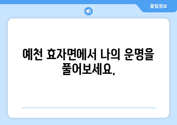 경상북도 예천군 효자면 사주| 나의 운명을 알아보는 곳 | 사주, 운세, 점집, 예천, 효자면