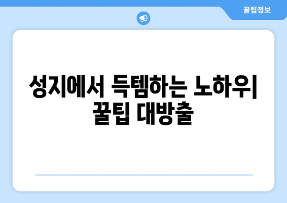 대전 동구 대청동 휴대폰 성지 좌표| 최신 정보와 꿀팁 | 휴대폰 저렴하게 구매, 성지 정보, 핫딜