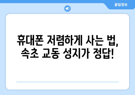 강원도 속초시 교동 휴대폰 성지 좌표| 최신 핫딜 정보 & 가격 비교 | 휴대폰, 싸게 사는 법, 속초, 교동, 성지