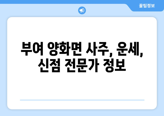 충청남도 부여군 양화면 사주| 유명한 사주 명인과  추천 정보 | 부여 사주, 양화면, 점집, 운세, 신점