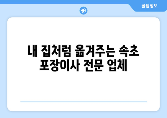 속초시 노학동 포장이사 전문 업체 추천 & 비용 가이드 | 속초 포장이사, 이삿짐센터, 가격 비교