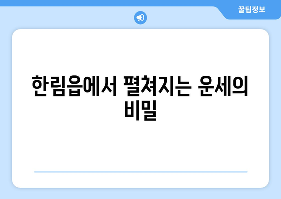 제주도 제주시 한림읍에서 찾는 나만의 사주 명소 | 제주 사주, 운세, 신점, 용한 곳