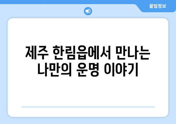 제주도 제주시 한림읍에서 찾는 나만의 사주 명소 | 제주 사주, 운세, 신점, 용한 곳