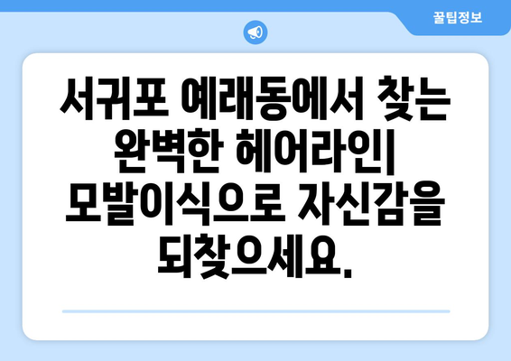 제주도 서귀포시 예래동 모발이식| 성공적인 헤어라인 변신을 위한 선택 가이드 | 모발이식, 서귀포, 예래동, 헤어라인, 비용, 후기